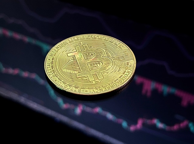 비트코인 ETF 순유출 속 시세 차트 위에 놓인 비트코인 실물 모형. 자료사진