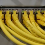 ICANN 신규 도메인 신청 공개 — 네트워크 스위치에 꽂힌 랜 케이블. 자료사진