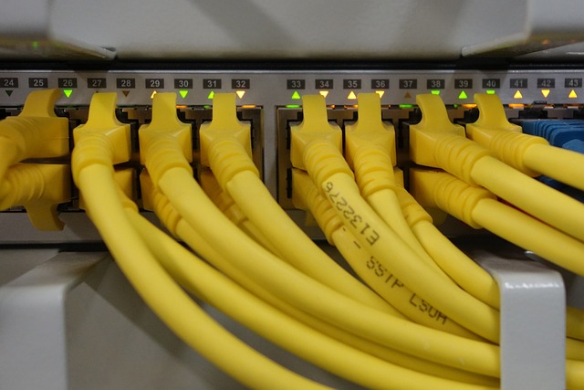 ICANN 신규 도메인 신청 공개 — 네트워크 스위치에 꽂힌 랜 케이블. 자료사진