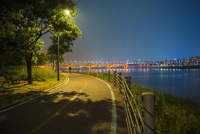 한강 변 보행·자전거 길 풍경. 보행전용교 전환 관련 자료사진