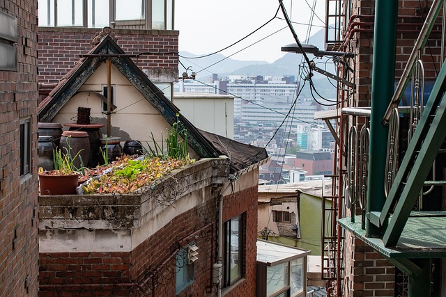 서울 주택가 골목과 이면도로. 도로 토지거래허가구역 관련 자료사진
